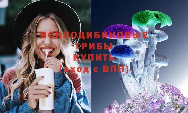 СК Арсеньев