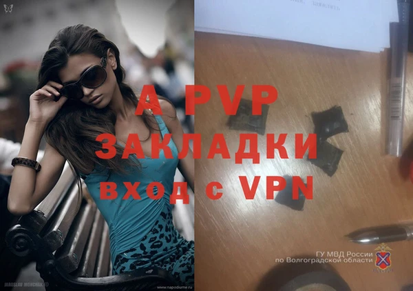 СК Арсеньев