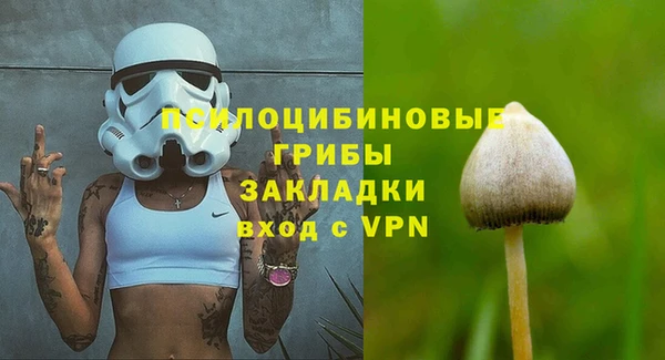 СК Арсеньев